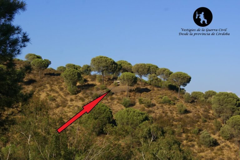 Nido del Cerro Mojoneras – Villafranca de Córdoba.