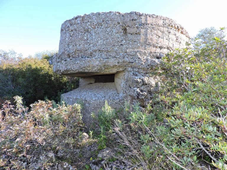 Nido del Cerro del Tabaco – Villafranca de Córdoba.