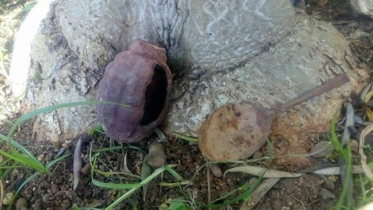 Restos de armamento y munición en Sierra Trapera – Valsequillo