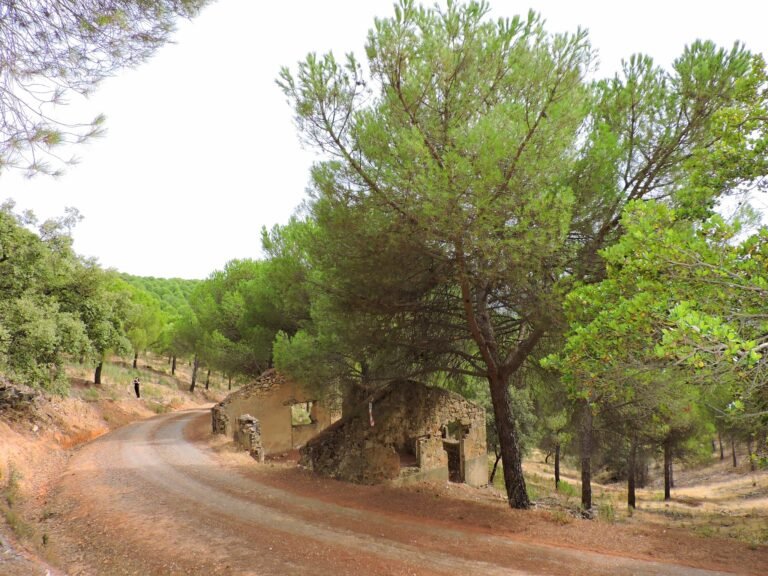 Ruinas del Hospitalillo de Cerro Sordo – Espiel