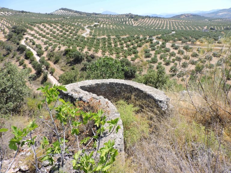 Posiciones Fuente Alhama – Fuente Alhama (Luque)