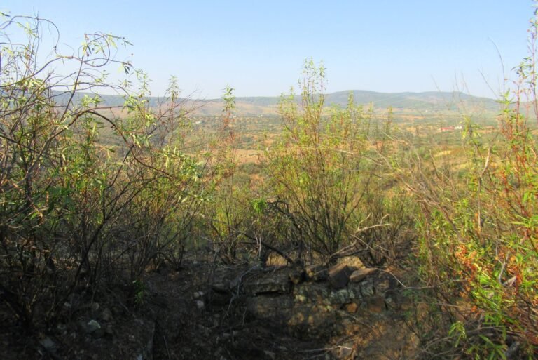 Trincheras de la Colodra – Pozoblanco