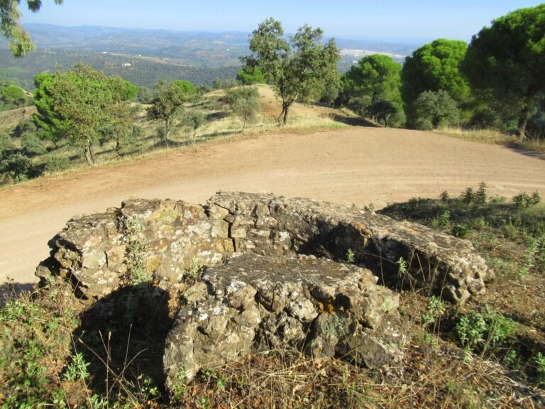 Trincheras de la Sierrezuela II – Villafranca y Adamuz.