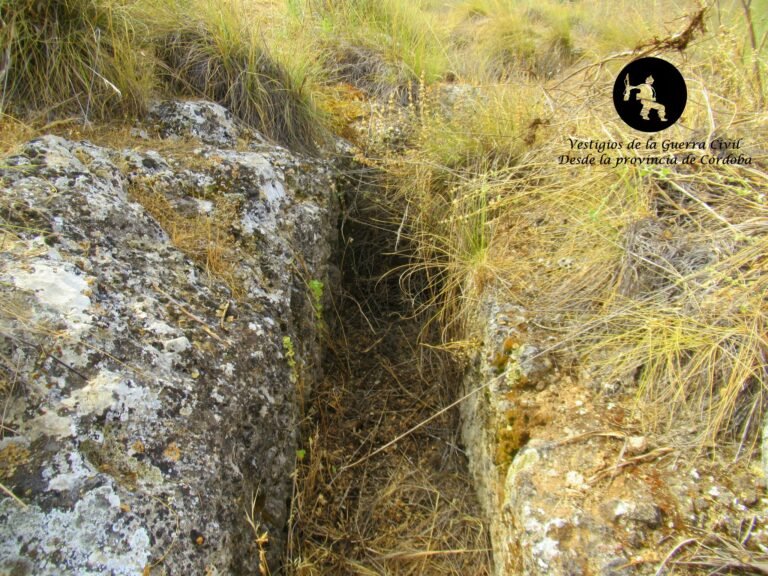 Trincheras de la Vía Verde del Aceite – Alcaudete (Jaén)