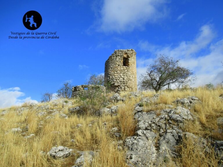 Nidos de la Torre de la Porqueriza – Tózar – Moclín (Granada)