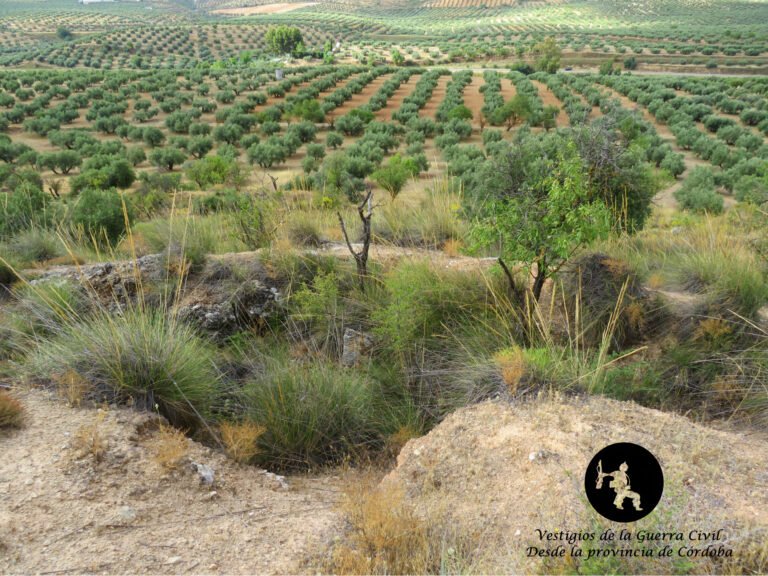Trincheras La Rosilla – Luque (Córdoba)