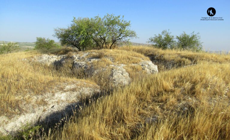 Posición Cerro Doncellar – Baena (Córdoba)